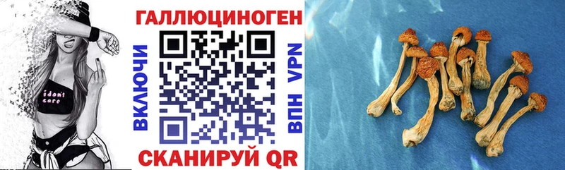 Псилоцибиновые грибы мухоморы  где купить наркоту  Лодейное Поле 